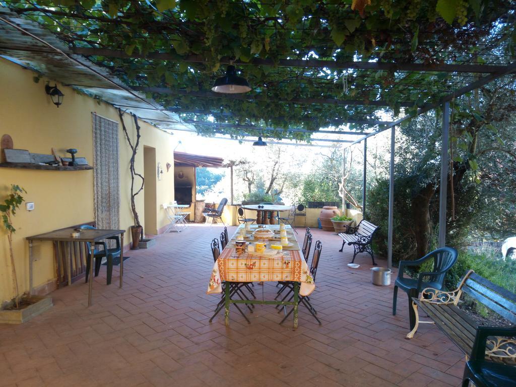 Agriturismo Il Cavallone Villa Montelupo Fiorentino Exterior photo